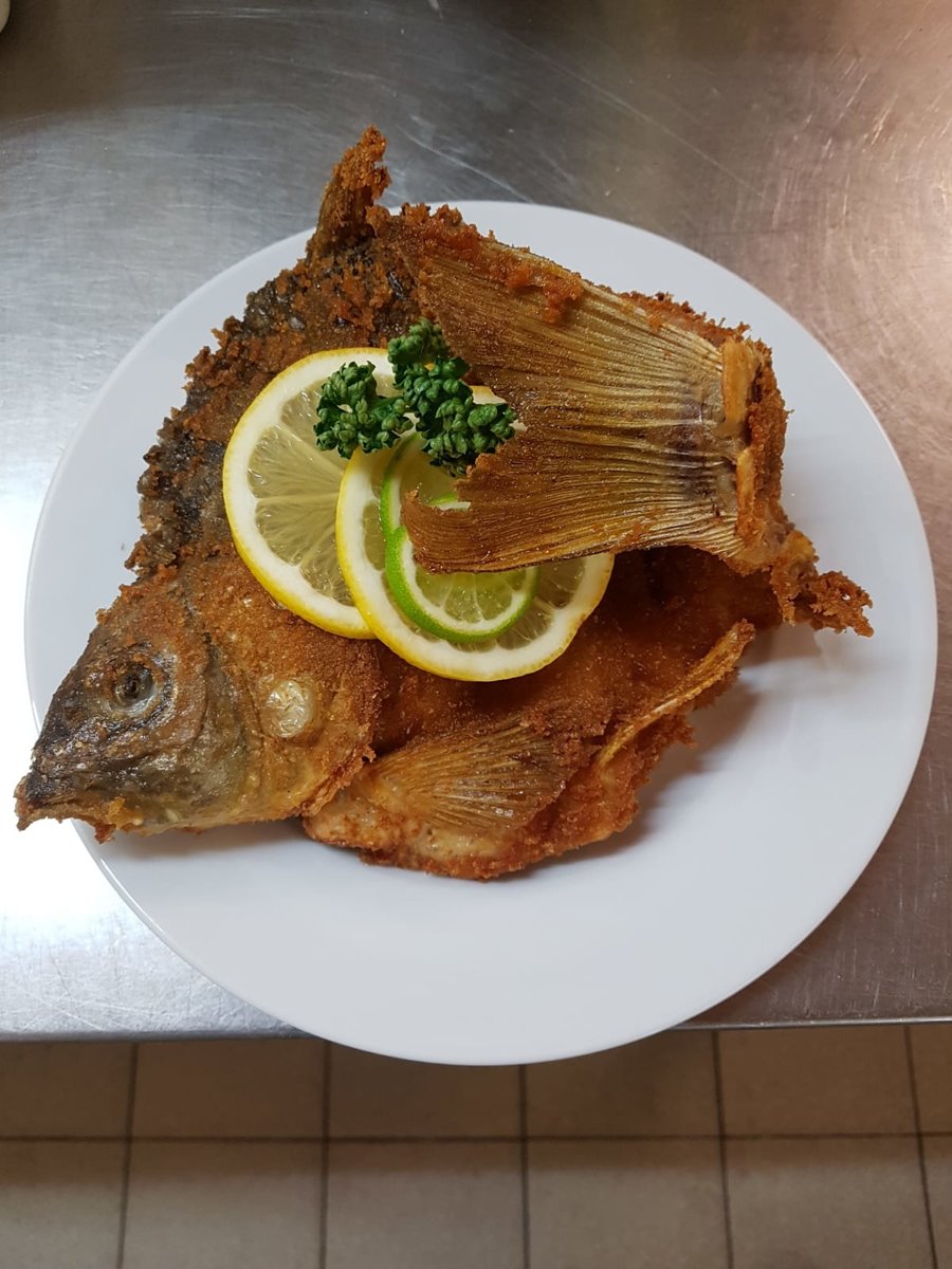 Fisch vom Gasthaus zur frohen Einkehr